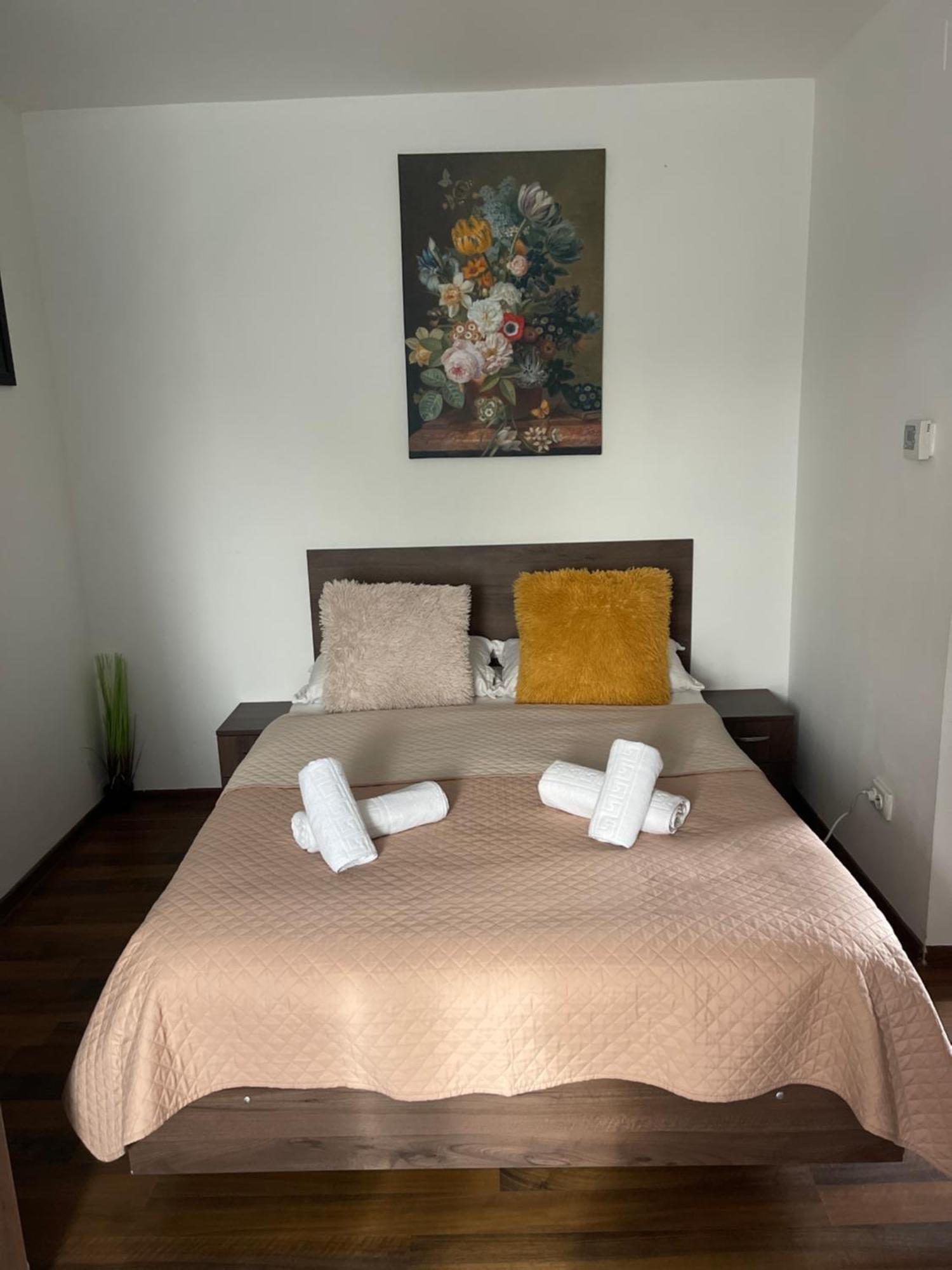 Orange House Apartment Timisoara Luaran gambar